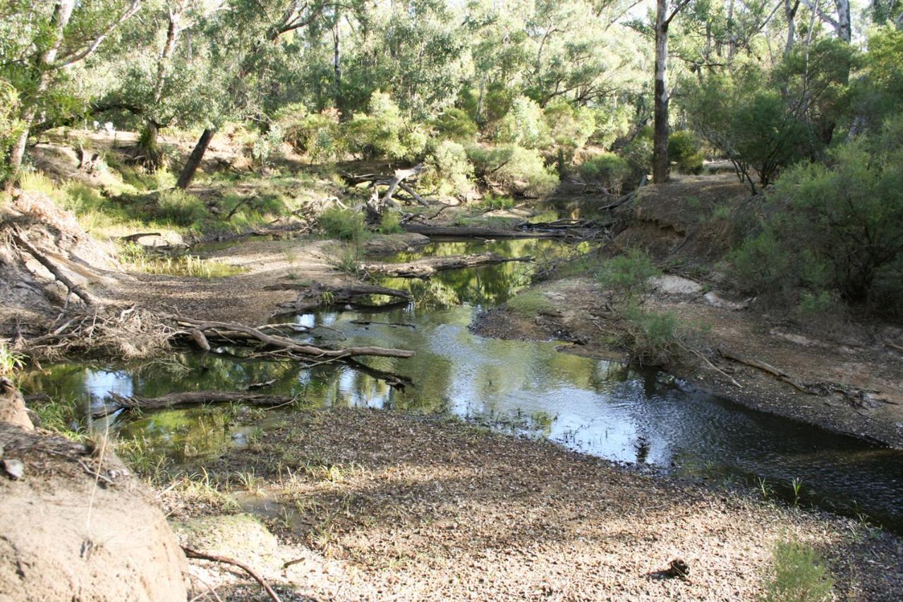 Vila Barrabup Sanctuary Birdhide Nannup Exteriér fotografie